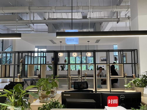探訪成都金?！半p中心” 這個極具設計感的服務空間，如何重塑咨詢與策劃體驗？