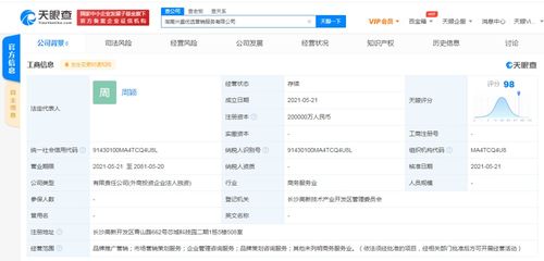 咨詢策劃服務 開啟高效決策與卓越發(fā)展的金鑰匙